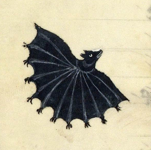 discardingimages: bat Frederick II, De arte venandi cum avibus (French translation), France ca. 1310