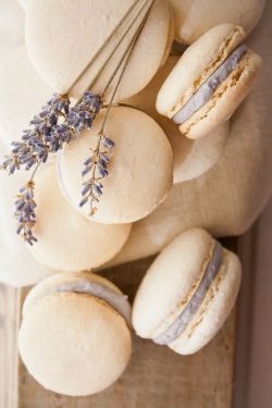 basilgenovese:  Honey Lavender Macarons (via Hint of Vanilla) 