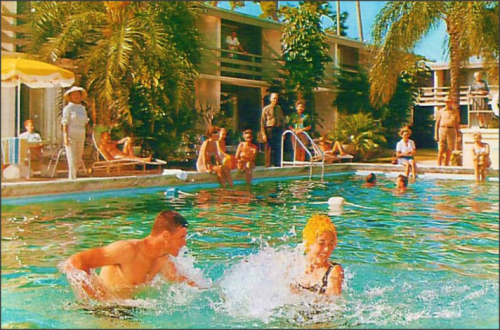 Golden Host MotelSarasota, Florida 1960s1950sunlimited@flickr