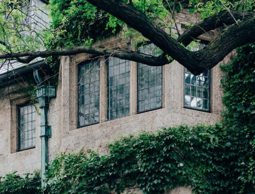 archexplorer: Fourth Presbyterian Church detail. 