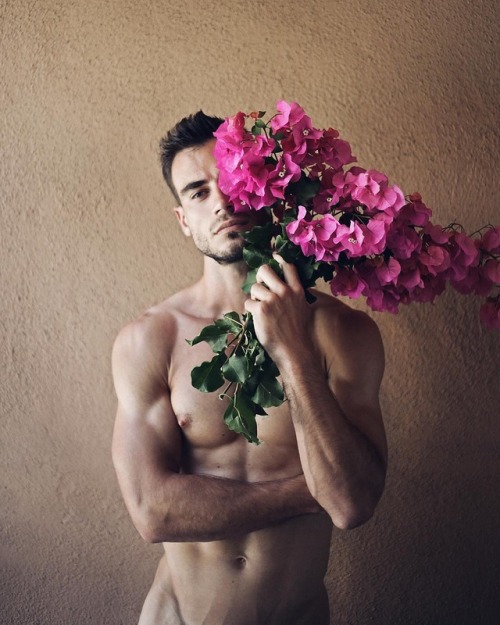 Romain Celestinne