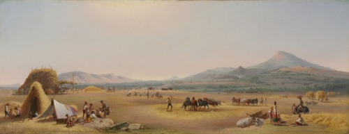 cma-american-painting-sculpture:Harvest on the Roman Campagna, John Gadsby Chapman , 1868, Cleveland