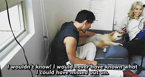 dogiplier:  shut up im weeping  IM SO LUCKY