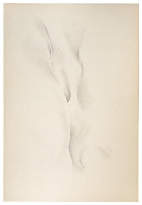 Georgia O’Keeffe (American, 1887-1986), Special No. 40, 1934. Graphite on wove paper.