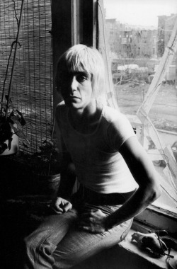 icky-pop:  Iggy Pop, 1976 Photo by Roberta