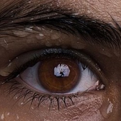 Porn Pics astralsi:yo… dark brown eyes appreciation