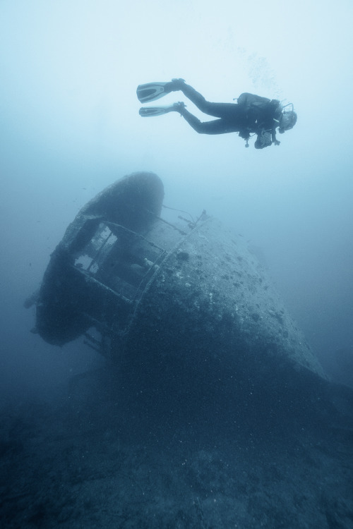 I spent a previous week on a liveaboard at the Red sea. We were exploring the world-class wreck divi