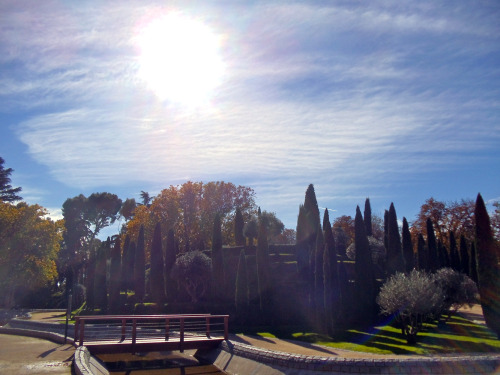 Bosque del Recuerdo, Parque del Retiro, Madrid, Spain. “Forest of Remembrance” – dedicat