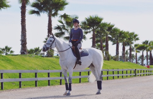 zabellkerivan: My partner in crime Ready to start showing!!☀️