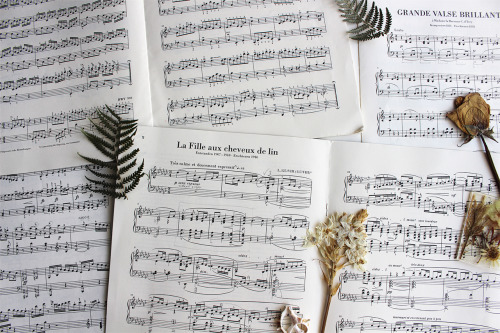 darkmacademia:my old piano sheet music + pressed flowers and leaves.