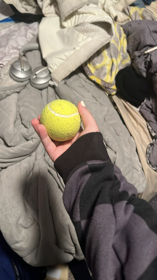 This Is Really Funny Because I Randomly Found A Tennis Ball In My Bag..?