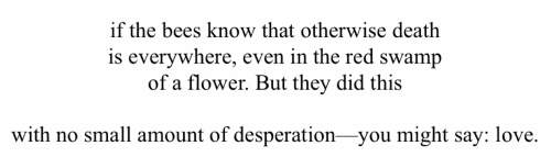 Mary Oliver, From The House Of Light; Writing Poems