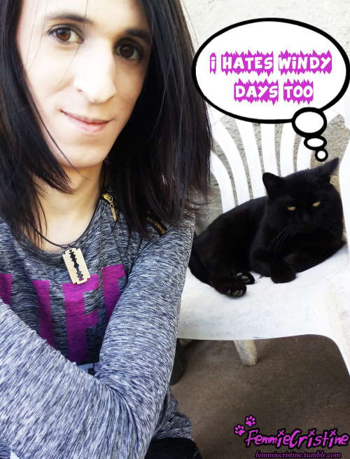 We hates windy days sooo much :o