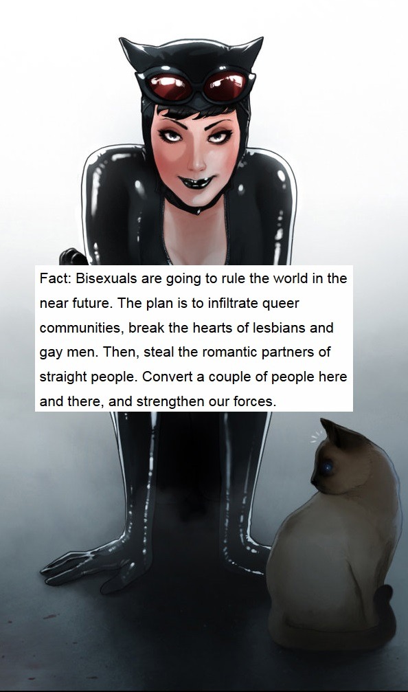 bluecoati:  rightpropervillain:  halbarry:  friendly reminder that catwoman is canon