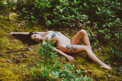 corwinprescott:    “Into the Wild”Rattlesnake