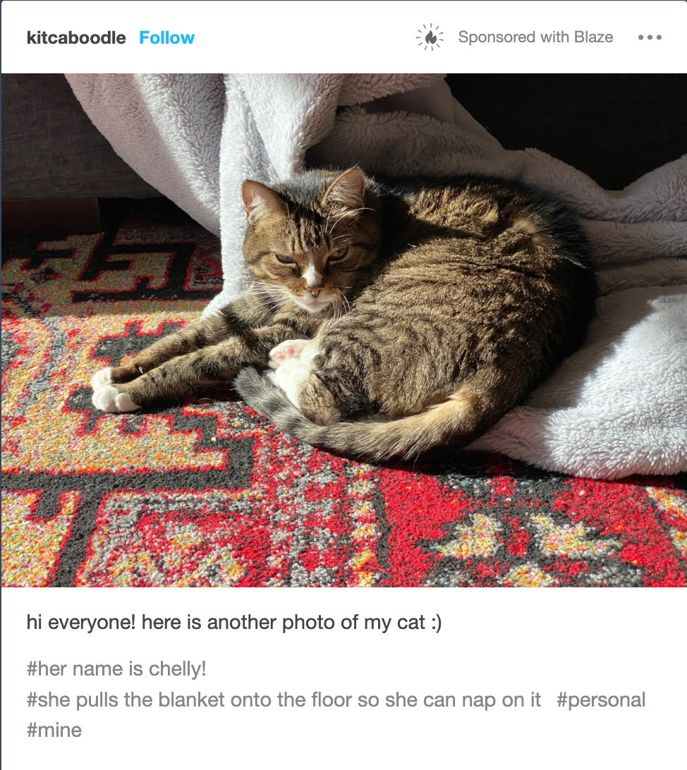 a slightly scruffy grey tabby kitty with a little white nose snip and mittens curls up on a red rug. she is round and precious and content. underneath is written "hi everyone! :) here is another photo of my cat." in tags, the poster has added #her name is chelly! #she pulls the blanket onto the floor so she can nap on it.  #personal #mine