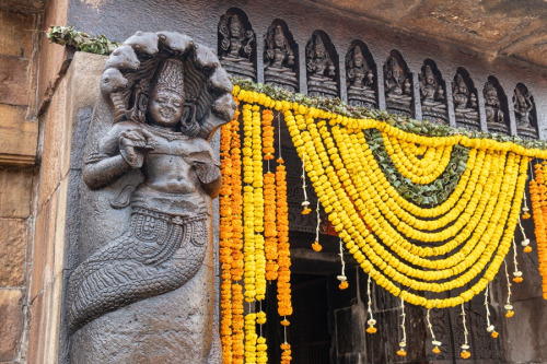 Naga and planetary deities, Megheswar Temple – Bhubaneswar, Odisha, photo by Kevin Standage. More at