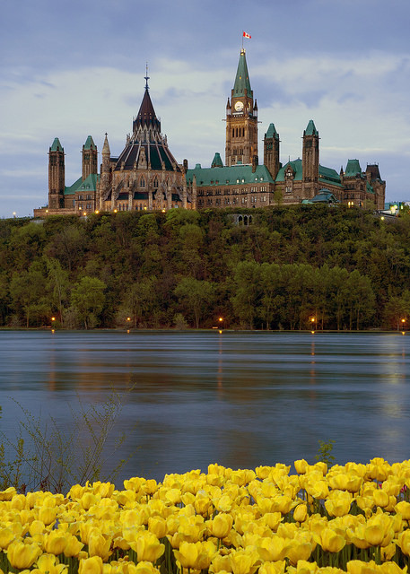 Ottawa - Tulips and Parliament by Saffron Blaze on Flickr.