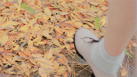 mv aesthetic: for you lovelyz