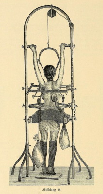 orchid-room:  nemfrog:   Apparatus for the