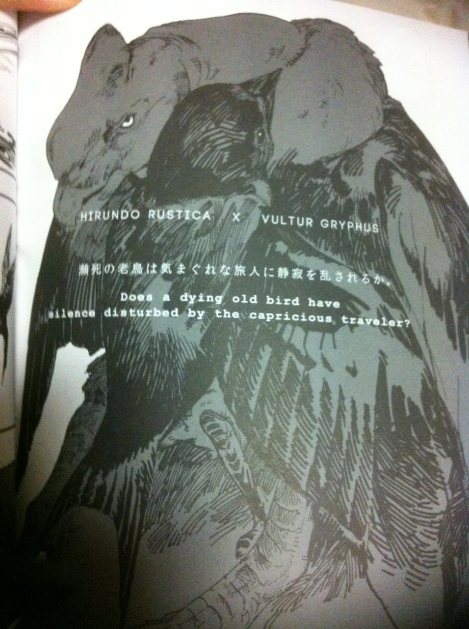 dezzoi:  youkoofthelovespot:  The infamous bird BL book. This is my friend’s copy;