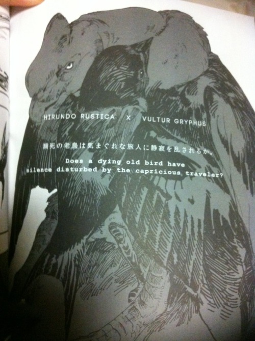 dezzoi:  youkoofthelovespot:  The infamous bird BL book. This is my friend’s copy; I await mine in October.  I know it’s bird sex, but damn…I’d buy this for the art. It’s so hard to find decently drawn vultures.  