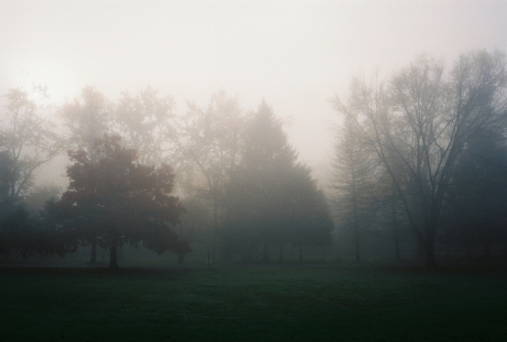 englishsnow:  by S. Shorey 