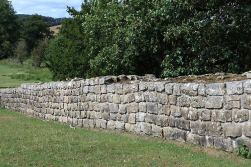 Brunton Turret, Hadrian’s Wall, Northumberland, 2.8.18.Not far from Chesters Roman Fort lies B