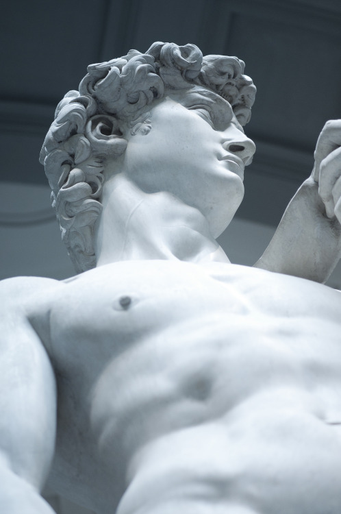 David - Michelangelo da rupertalbe - rupertalbegraphic