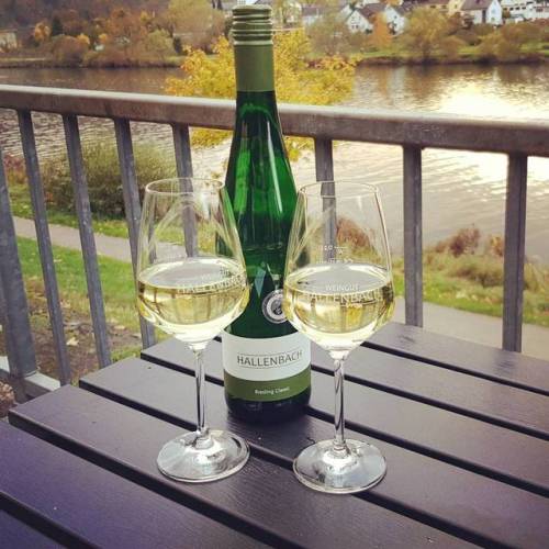 Riesling. Der trockene #Wein ist für mich das wahrhaft beste Produkt hier an der Mosel. Den Win