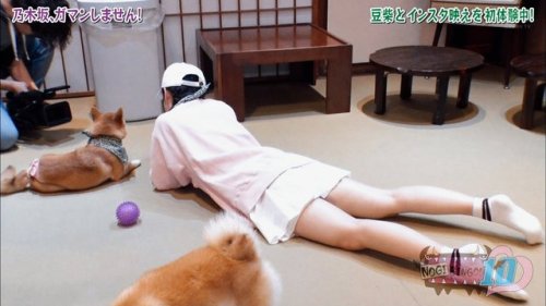 always-loved-a-film:  争うなら王冠燃やせさんのツイート: これは山下さんだぜ!! https://t.co/x2Sd57bFNG