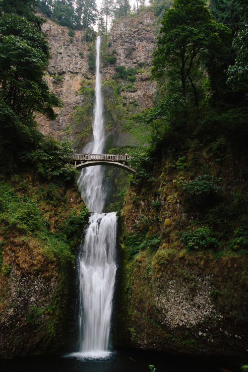 kasieisdell:Hello Multnomah falls!