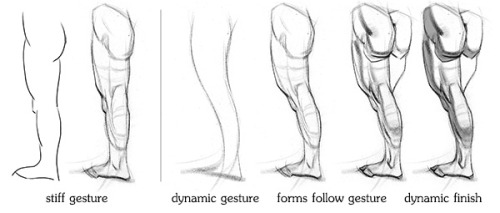 anatoref:  Drawing Legs  Row 1: Left, Right  Row 2Row 3Row 4 (Source Unknown)Row 5Row 6Row 7 