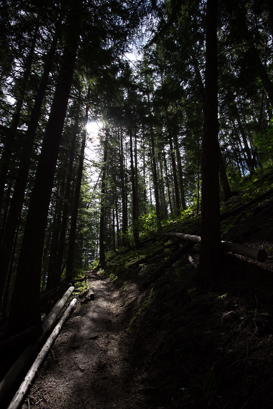lobo-de-luna:  Adventures around Mt Spokane.Part 1