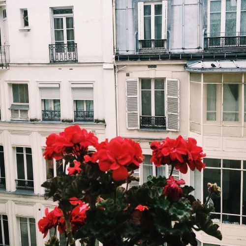 ilovemimililoves:Paris is for lovers| Destination: París | Empezando nuestro recorrido por la ciudad