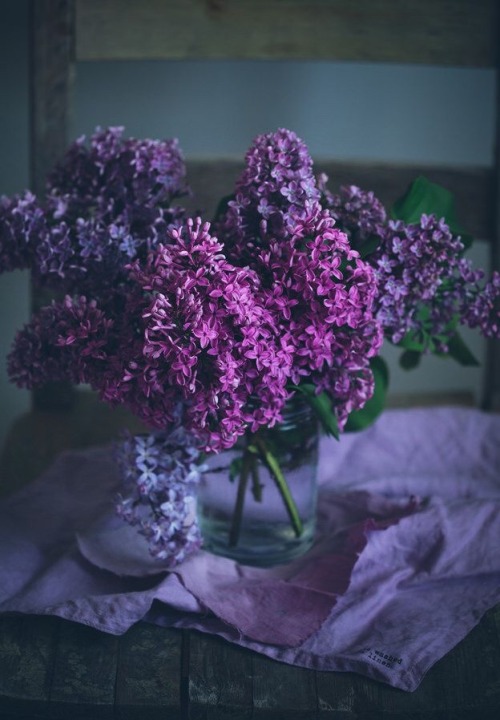 lilac