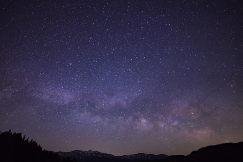 昨夜は雲ひとつない、黄砂で靄ってもいない、すっきりとした星空を見ることができました。でも、風もなかったので飛行機雲が流れず、結局24時前には撮影終了…。ちょっと残念だったけど、天の川が立ち上がってくる