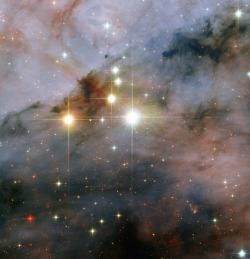 just–space:  Mammoth stars seen by Hubble - WR 25 and Tr16-244, located within the open cluster Trumpler 16  js