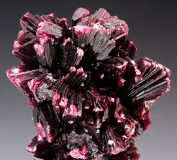 Fuckyeahmineralogy:  Erythrite; Bou Azzer District, Tazenakht, Morocco