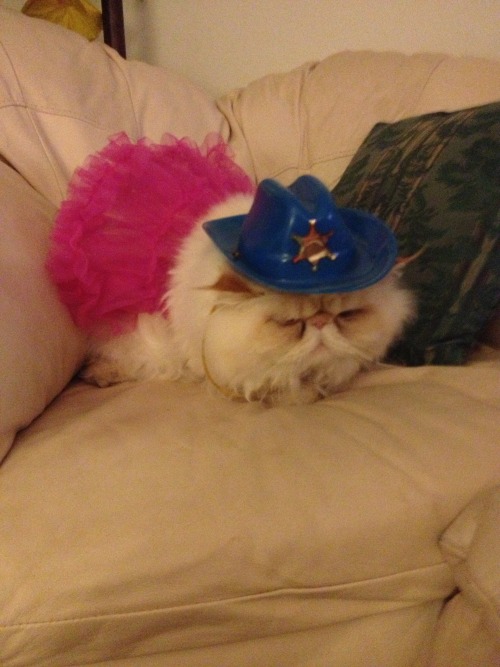 lucifurfluffypants: Yesterday was National Dance Day. Here I am in my tutu, ready to audition for So