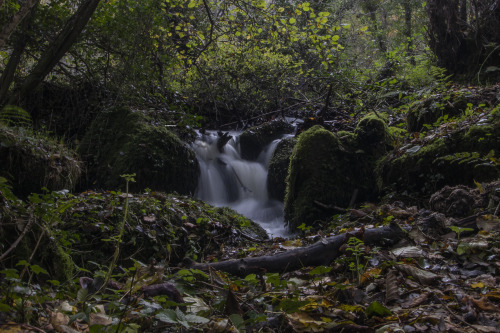 garettphotography:Autumn in the Derbyshire Dales | GarettPhotography