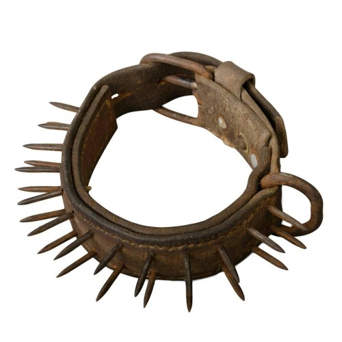 reallifeishorror: 19th century spiked metal wolf collar, worn by sheep herding dogs or dogs guarding