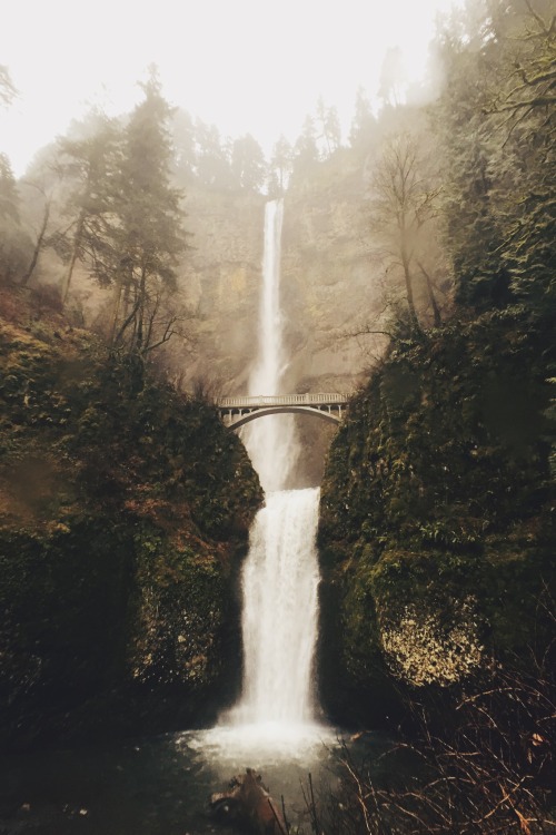 danielodowd:  mweholt
