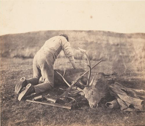 membrane:  Horatio Ross / Jack Gralloching a Stag / ca. 1856-58.