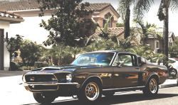 musclecarinstant:   gold star!!! 