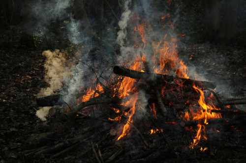 english-idylls:   	Woodcutter’s Fire by adult photos