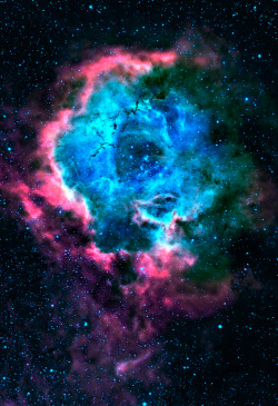 Stellar-Indulgence:  Rosette Nebula 
