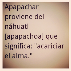  Apapachenme. 