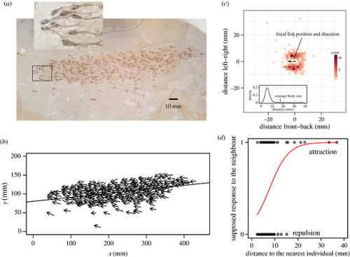 Go to SchoolThis remarkable figure was just published in a paper in the Journal “Proceedings of the 