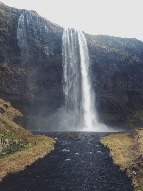 danielodowd:  rosieegmoss 